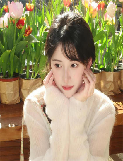 小岛惊魂2001评分测评大师级的：是否值得花时间观看的深度分析